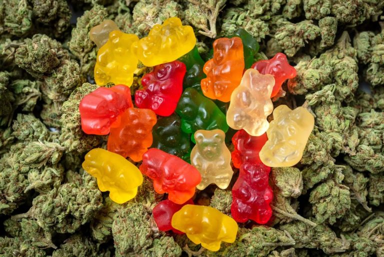 Weed Gummies 101: What You Should Know Before Trying Them
