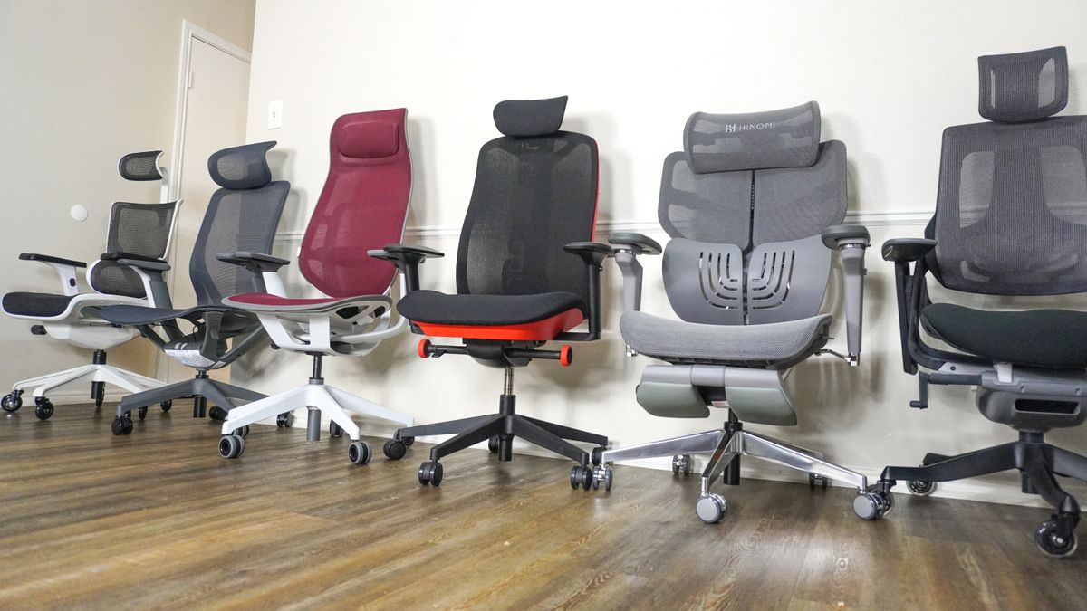 Affordable Ergonomic Study Chairs for Home and Office 